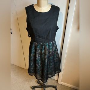 NWT Tulle dress